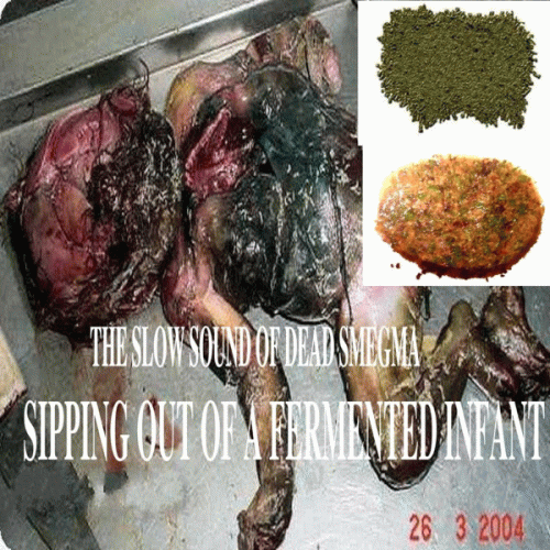 Stercoraceous Copremesis Rhinorrhea : The Slow Sound of Dead Smegma Sipping Out of a Fermented Infant Stercoraceous Copremesis Rhinorrhea : The Slow Sound of Dead Smegma Sipping Out of a Fermented Infant